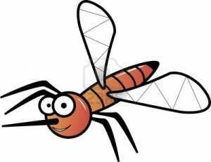 Mosquito has 47 teeth