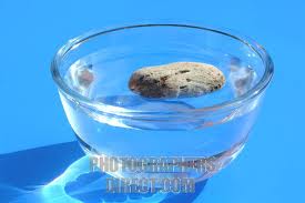 Pumice stone floating in water