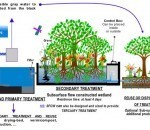 municipal water treatment