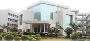 saroj