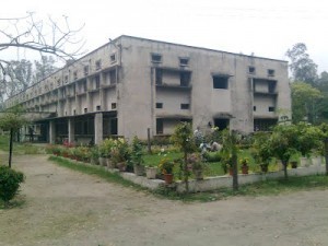 DNP Dev Nagari Polytechnic
