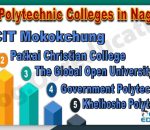 Top Polytechnic Colleges in Nagaland
