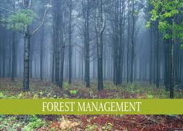 Forest and Environmental Management Course Specialization Forest and Environmental Management