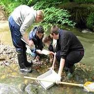 Career Prospects of Forest and Environmental Management Forest and Environmental Management courses