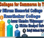 Top Colleges for Commerce In Tripura