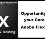 Adobe Flex Training Details