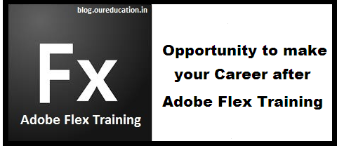 Adobe Flex Training Details