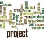 Project manager