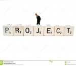 Project manager