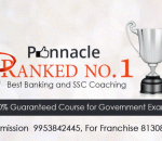 pinnacle institute