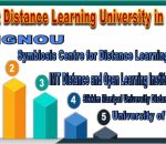 Top Distance Learning Institutes In India