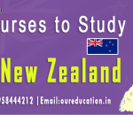 Scope of Study in New Zealand