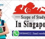 Scope of study in Singapore