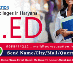 Top B.Ed Colleges in Haryana