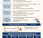 1 year study plan for upsc exam