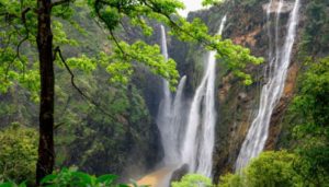 Best IAS Coachings in Shimoga