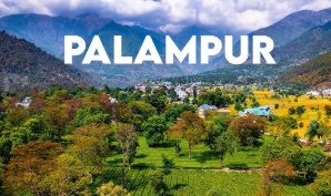 Best IAS Coaching in Palampur