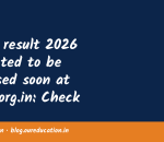 HTET result 2026 expected to be released soon at bseh.org.in: Check steps to download scorecards