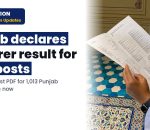 ERD Punjab Lecturer result 2026 declared for 1,013 posts: Check direct link to download subject-wise merit list PDF here