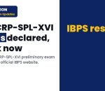 IBPS: Result Status of Online Preliminary Examination for CRP-SPL-XVI